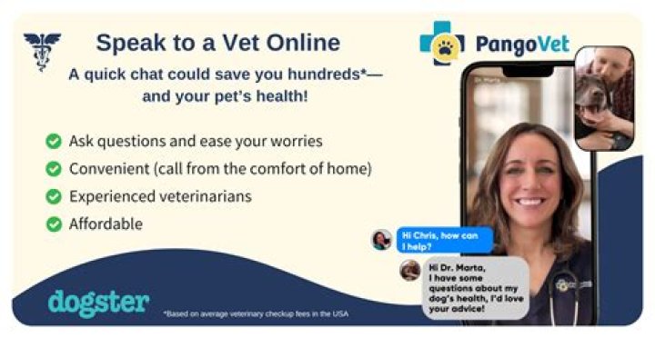 Helpful Vancouver Vet video statistics
