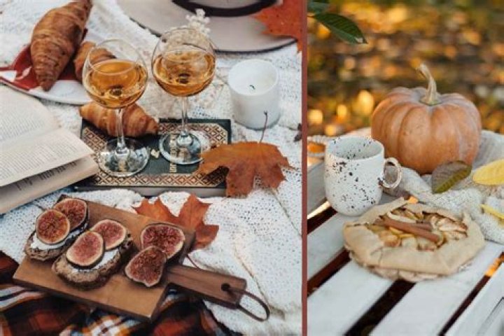 Here's how to plan the cutest fall picnic with your squad