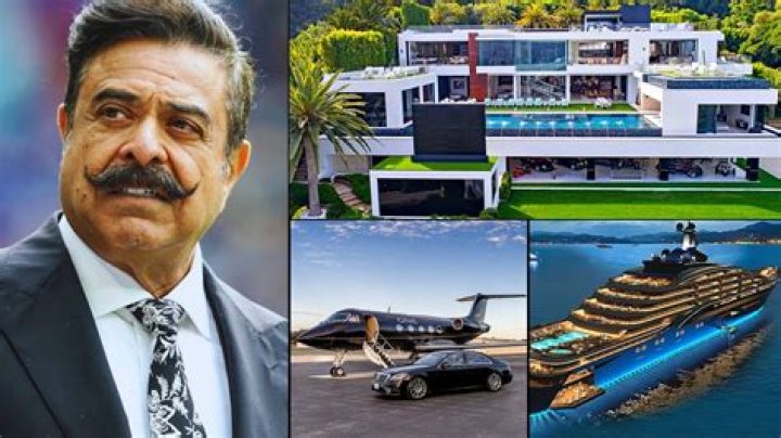 Shahid Khan Fortune